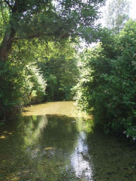 fiume calore  2