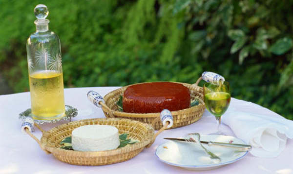 olio cilento
