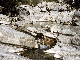 casaletto_torrentebussentino01