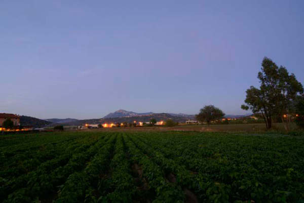 cilento agriturismo