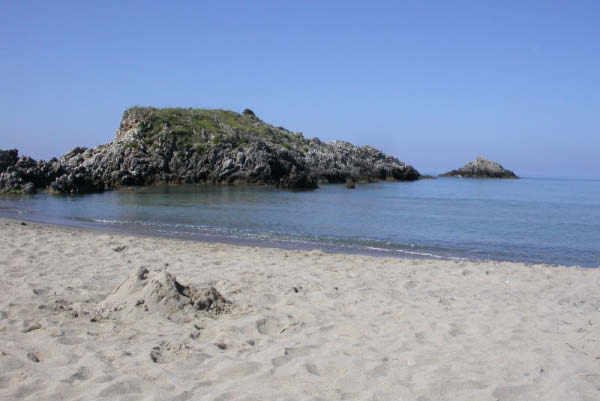 ascea